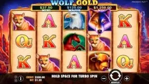 Wolf Gold Pokies